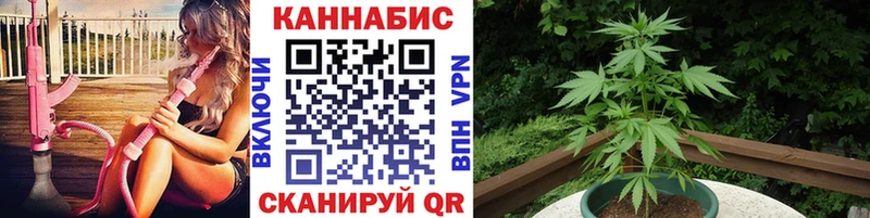 Бошки Шишки ГИДРОПОН Могоча